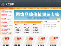 湛江市東龍網絡科技有限公司 